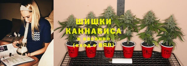 2c-b Бородино